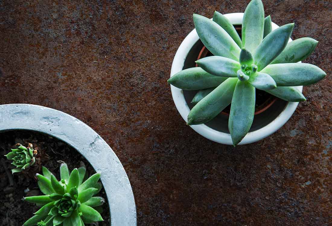 The Perfect Fit Global Gate Greet Corp